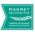 Magnet